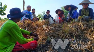 Pesantren dan Laznas Gerakkan Ekonomi, Ajak Petani Bangkit dari Pandemi
