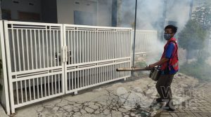 Kompak Gelar Kerja Bakti Pakai Masker dan Jaga Jarak, Cara Warga Jember Budayakan New Normal
