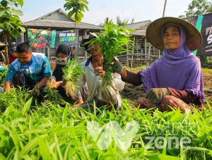 Panen Kangkung dan Bayam, Cara Warga Gresik Bertahan Hidup di Tengah Pandemi