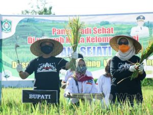 Cak Thoriq Ingin Petani di Lumajang Gunakan Pola Tanam Organik