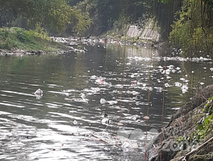 Foto: Kondisi sampah numpuk dan ngambang di Sungai Bedadung, Jember.