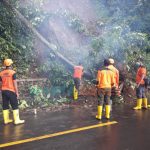 Foto: Hujan cukup deras di wilayah Jember mulai Senin (19/10) sore hingga malam, menyebabkan banjir bandang dan tanah longsor.