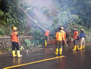 Banjir Bandang dan Tanah Longsor Terjang Jember, Begini Kondisi Terkini