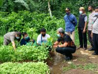 Foto: Wakil Wali Kota Bogor, Dedie A Rachim (tengah) saat mengitari perkebunan bayam di Kampung Pabuaran, Kelurahan Cibadak, Kecamatan Tanah Sareal, Kota Bogor.
