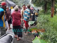 Kecelakaan lalu lintas yang terjadi di Dusun Tayeng, Desa Rowotengah, Kecamatan Sumberbaru, Kabupaten Jember.