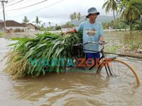 Kondisi terkini sejumlah wilayah di Jember terendam banjir.