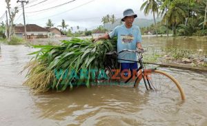 Hujan Rendam Tiga Kecamatan di Jember, Begini Kondisi Terkini