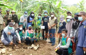 Lestarikan Hutan Sebagai Penyangga, UNEJ Bersama Pemerintah Jember Tanam Pohon