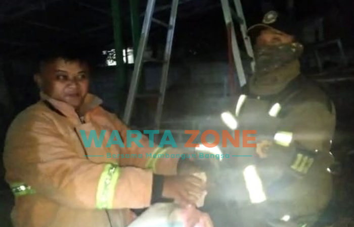 Foto: Petugas Pemadam Kebakaran (Damkar) saat mengevakuasi sarang tawon yang berada di Kantor EO di Jalan Jambu Kecamatan Patrang, Kabupaten Jember.