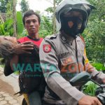 Foto: Aksi Heroik Bripka Yudhi saat menolong nenek malang yang terperosok di bukit perkebunan kopi di Dusun Ajung Kemiri, Desa Ajung, Kecamatan Kalisat, Jember.