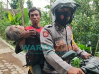 Foto: Aksi Heroik Bripka Yudhi saat menolong nenek malang yang terperosok di bukit perkebunan kopi di Dusun Ajung Kemiri, Desa Ajung, Kecamatan Kalisat, Jember.