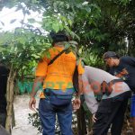 Foto: Anggota polisi, BPBD dan Tagana saat di lokasi kejadian ketika korban melompat ke Sungai Kalisat- Sempolan (Silo), Jember.