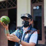ENERGIK: Bupati Pamekasan, H Baddrut Tamam saat menunjukkan buah alpukat yang merupakan potensi Desa Klompang Timur (Foto: Agus Wandi)