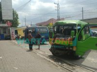 Foto: Adu moncong Kedua kendaraan angkot antar kota Isuzu Elf di Jalan Raya Jember - Lumajang.