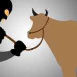 Ilustrasi pencurian sapi (Foto: Istimewa)