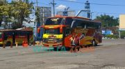 Foto: Bus AKDP Terminal Tawang Alun, Kecamatan Sukorambi, Kabupaten Jember.