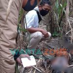Foto: Sesosok mayat ditemukan di areal kebun tebu Dusun Gumuk Kembar, Desa Mundurejo, Kecamatan Umbulsari, Rabu (19/5/2021).