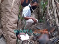 Foto: Sesosok mayat ditemukan di areal kebun tebu Dusun Gumuk Kembar, Desa Mundurejo, Kecamatan Umbulsari, Rabu (19/5/2021).