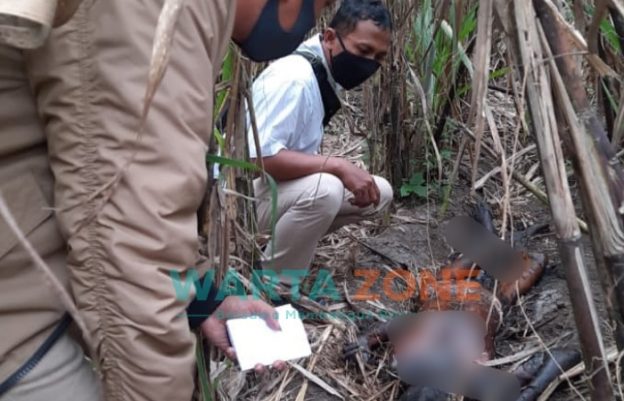 Foto: Sesosok mayat ditemukan di areal kebun tebu Dusun Gumuk Kembar, Desa Mundurejo, Kecamatan Umbulsari, Rabu (19/5/2021).