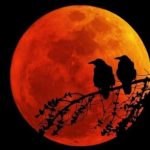 Gerhana Bulan Total Super Blood Moon. (Foto: Istimewa)