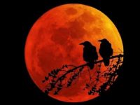 Gerhana Bulan Total Super Blood Moon. (Foto: Istimewa)