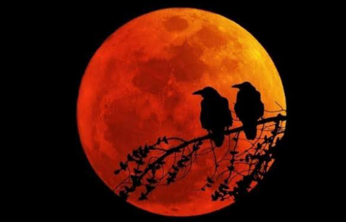 Gerhana Bulan Total Super Blood Moon. (Foto: Istimewa)