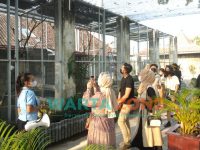 Caption : Para Influencer saat melihat beberapa satwa yang di pandu oleh petugas Jember Mini Zoo.