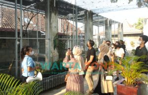 Jember Mini Zoo Gandeng Influencer, Kenalkan Destinasi Wisata Edukasi di tengah Kota