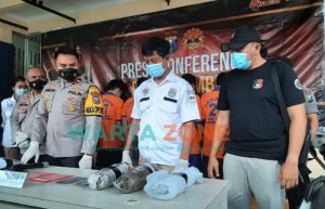 Polres Jember Amankan Ganja Kering 2,8 Kg Siap Edar