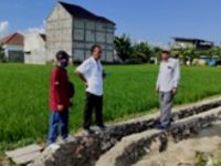 FOTO: Ketua HIPPA Tunas Harapan, Suparmin saat menemani tim provinsi meninjau lokasi pekerjaan P3-TGAI di Desa Gedungan, Kecamatan Batuan dengan progres pekerjaan 50%.