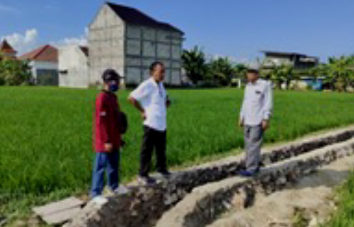 FOTO: Ketua HIPPA Tunas Harapan, Suparmin saat menemani tim provinsi meninjau lokasi pekerjaan P3-TGAI di Desa Gedungan, Kecamatan Batuan dengan progres pekerjaan 50%.