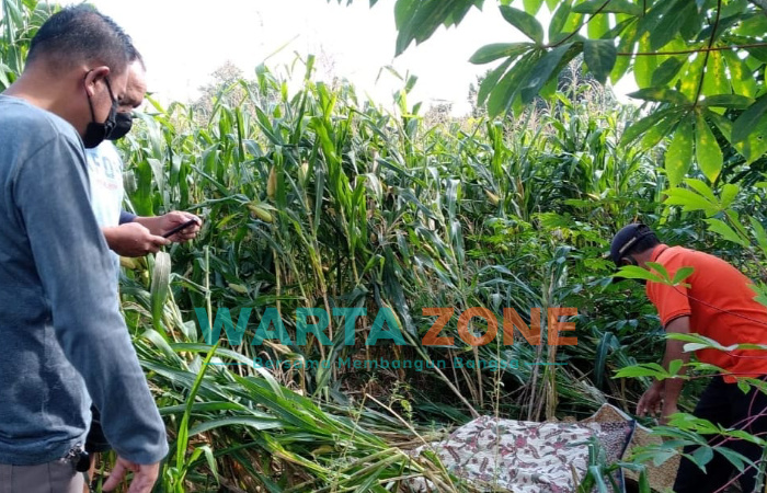 Caption: Mayat perempuan tanpa identitas ditemukan warga di tengah sawah dengan kondisi terlentang, membusuk dan mengeluarkan bau, Jumat (9/7/2021).