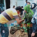 Caption: Mayat pria ini ditemukan mengapung di sungai Santer Kali Tanggul, Dusun Pondok Waluh, Desa Kencong, Kecamatan Kencong, Jember, kamis (8/7/2021).