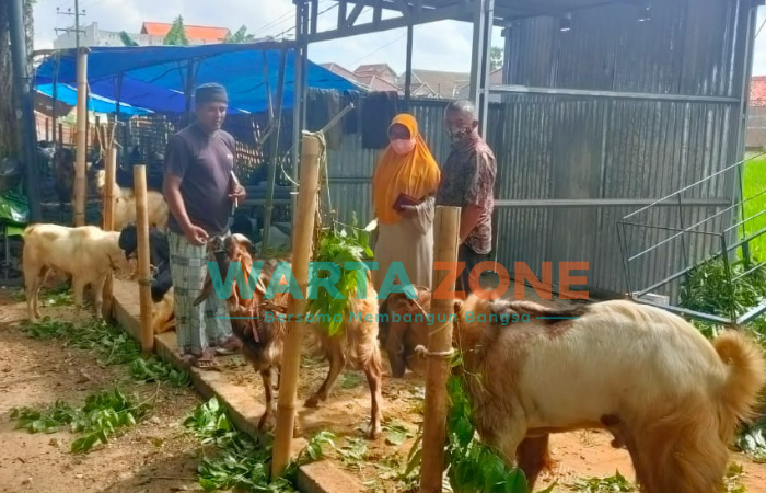 ANTUSIAS: Pedagang kambing saat menunjukkan dagangannya kepada konsumen di sekitar Jalan Urip Sumoharjo Sumenep (Foto: Abd Wakid)