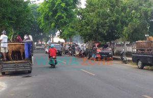 Jelang Idul Adha Pasar Hewan Sumenep Ditutup, Pedagang Sapi Terpaksa Putar Balik