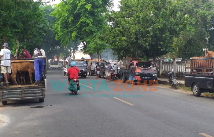 Foto: Sejumlah pedagang sapi di Kabupaten Sumenep, Madura, Jawa Timur, terpaksa putar balik, lantaran tidak diperbolehkan masuk oleh petugas.