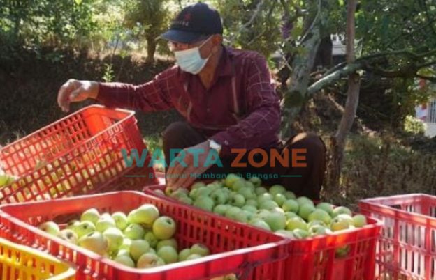 Foto: Laskar Foundation dari Jawa Timur Park (JTP) Group, berkontribusi positif dengan membeli apel dan jeruk, serta sayuran organik langsung dari petani Kota Batu.