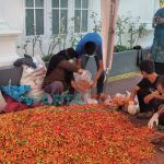 Foto: Istri Bupati Sumenep, Nia Kurnia Fauzi, membantu proses packing cabai dan bawang merah, yang dibelinya dari petani lokal.