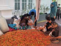 Foto: Istri Bupati Sumenep, Nia Kurnia Fauzi, membantu proses packing cabai dan bawang merah, yang dibelinya dari petani lokal.