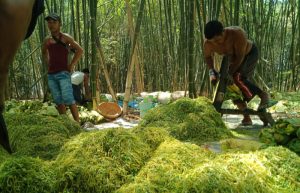 Bangun KIHT, Cara Pemkab Sumenep Permudah Pengusaha Rokok Lokal