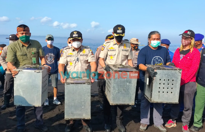Caption: Bupati Jember, Hendy Siswanto dan Wabup Muhammad Balya Firjaun Barlaman (Gus Firjaun), bersama BKSD Pusat serta Jakarta Animal Network (JAN), saat melakukan pelepasan satwa liar di Pulau Nusa Barong.