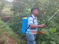Foto: Petani di Jember, saat berada di ladang sawah, Selasa (26/10/2021).