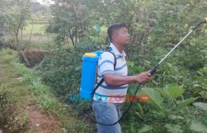 Petani di Jember Resah, Alokasi Pupuk Subsidi Terbatas