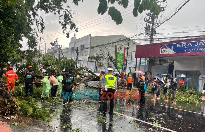 Foto: TRC BPBD Jember dibantu relawan, dan TNI/Polri saat mengevakuasi pohon tumbang di Jalan Ahmad Yani, Kecamatan Kaliwates.