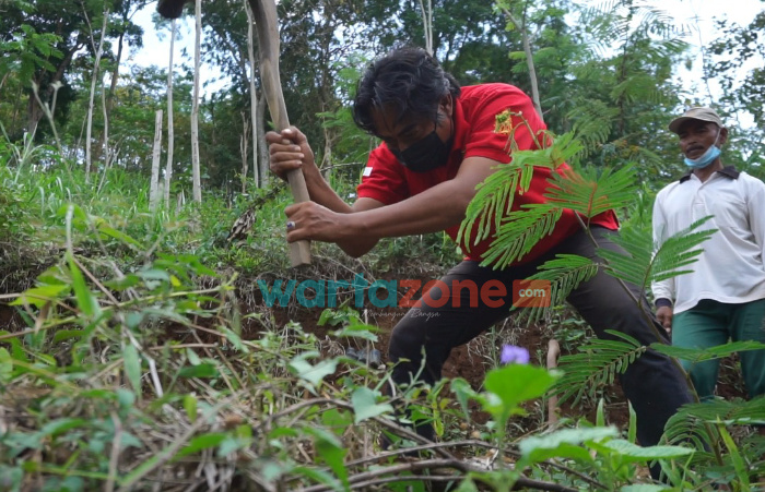 Foto: Aksi tanam pohon, yang digagas Polres Jember bersama MK seorang eks napiter dan Kepala Desa Panduman, di lereng pegunungan Argopuro bagian timur wilayah Panduman, Kecamatan Jelbuk.