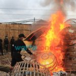 Foto: kobaran api pagupon yang dirobohkan paksa oleh petugas gabungan tiga pilar kecamatan Tambaksari dan Polrestabes Surabaya.