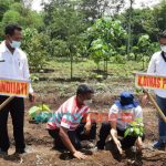Foto: Poktan HKTI Jember dan Dinas Tanaman Pangan, Holtikultura dan Perkebunan Kabupaten Jember, saat prosesi penanaman porang di Desa Candijati Kecamatan Arjasa.