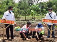 Foto: Poktan HKTI Jember dan Dinas Tanaman Pangan, Holtikultura dan Perkebunan Kabupaten Jember, saat prosesi penanaman porang di Desa Candijati Kecamatan Arjasa.