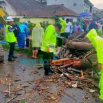 Foto: Tim siaga bencana Polres Batu, saat melaksanakan pembersihan material kayu penyebab meluapnya sungai Ledok di Dusun Banaran, Desa Bumiaji, Kecamatan Bumiaji, Kota Batu.