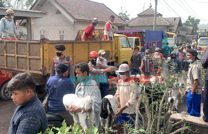 Foto: Tim kepolisian bersama para relawan saat membantu mengevakuasi korban bencana alam erupsi gunung Semeru di Lumajang, Jawa Timur.